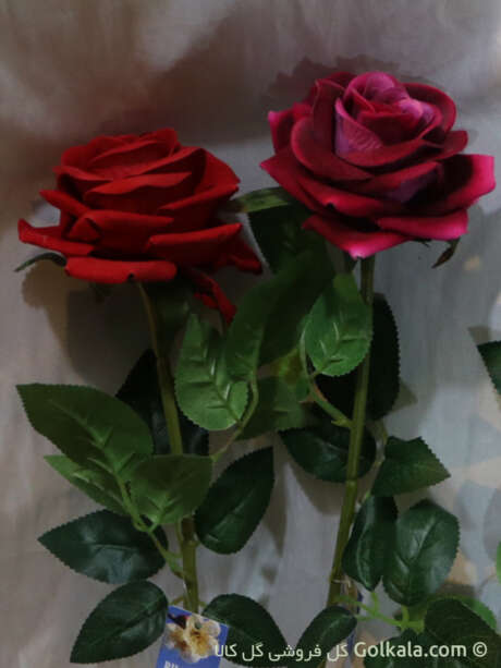 رز جیر, عکس گل رز قرمز, گل رز سرخابی