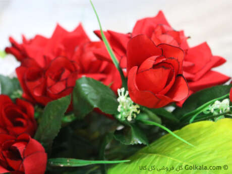 گل رز قرمز, عکس ماکرو رز
