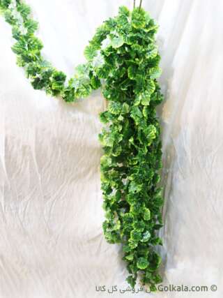 ریسه گل آویزی برگ سبز پیچک مصنوعی, پیچک مصنوعی, گیاهان آپارتمانی