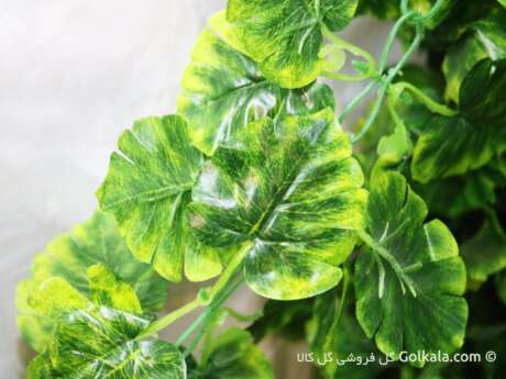 برگ سبز پیچک, ریسه پیچک, برگ مصنوعی