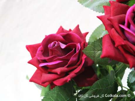 گلدان گل رز لمسی زیبا