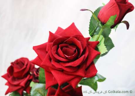 گلدان گل رز سرخ لمسی - رز قرمز