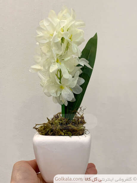 گلدان سنبل متوسط سفید گل کالا