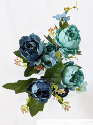 بوته گل رز آبی دو رنگ بهاری گل کالا اصلی