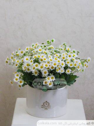 باکس گل بابونه مصنوعی گل کالا بالا