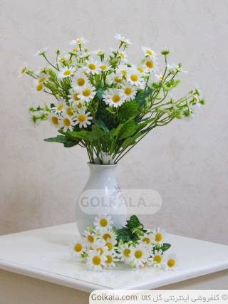 بوته گل بابونه ۴۰ سانتی تصویر اصلی گل کالا