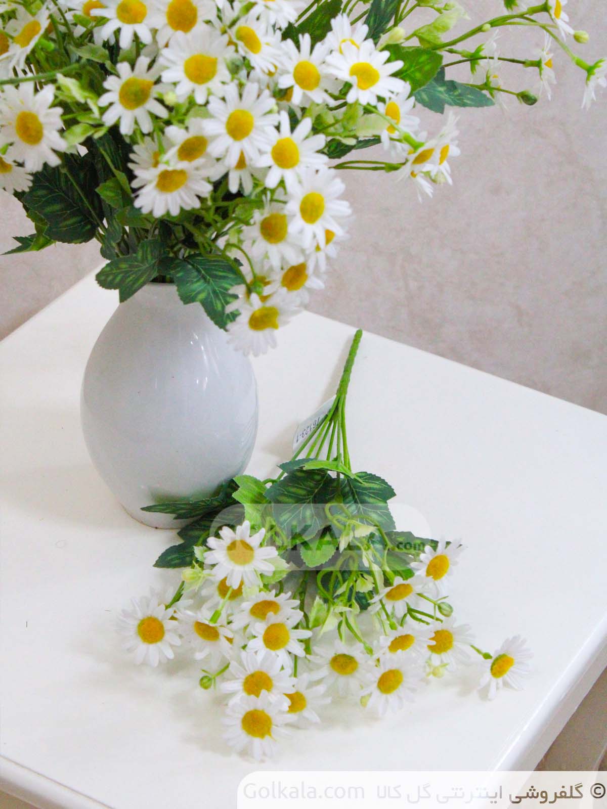 بوته گل بابونه ۴۰ سانتی تصویر نزدیک گل کالا